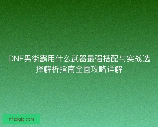 DNF男街霸用什么武器最强搭配与实战选择解析指南全面攻略详解
