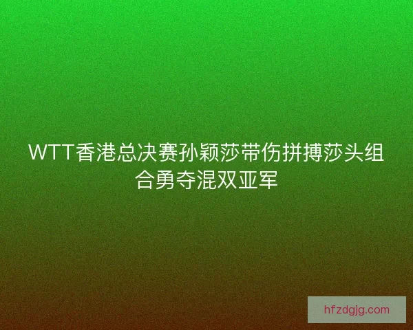WTT香港总决赛孙颖莎带伤拼搏莎头组合勇夺混双亚军 WTT香港总决赛孙颖莎带伤拼搏莎头组合勇夺混双亚军