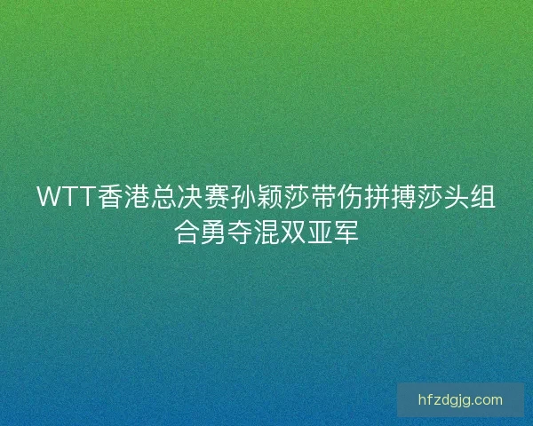 WTT香港总决赛孙颖莎带伤拼搏莎头组合勇夺混双亚军