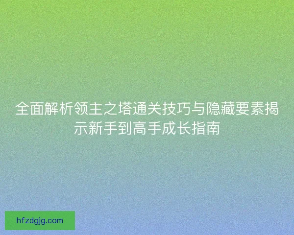 全面解析领主之塔通关技巧与隐藏要素揭示新手到高手成长指南